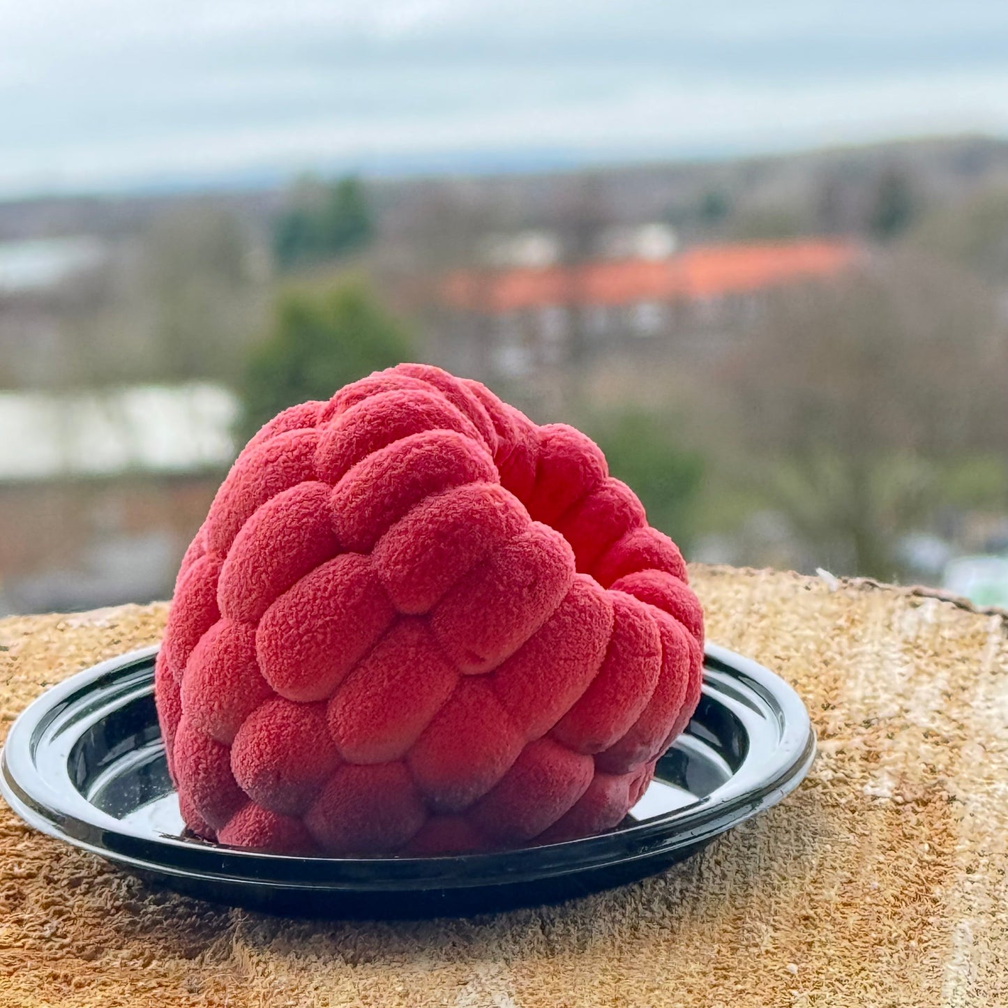 Raspberry Trompe L’oeil