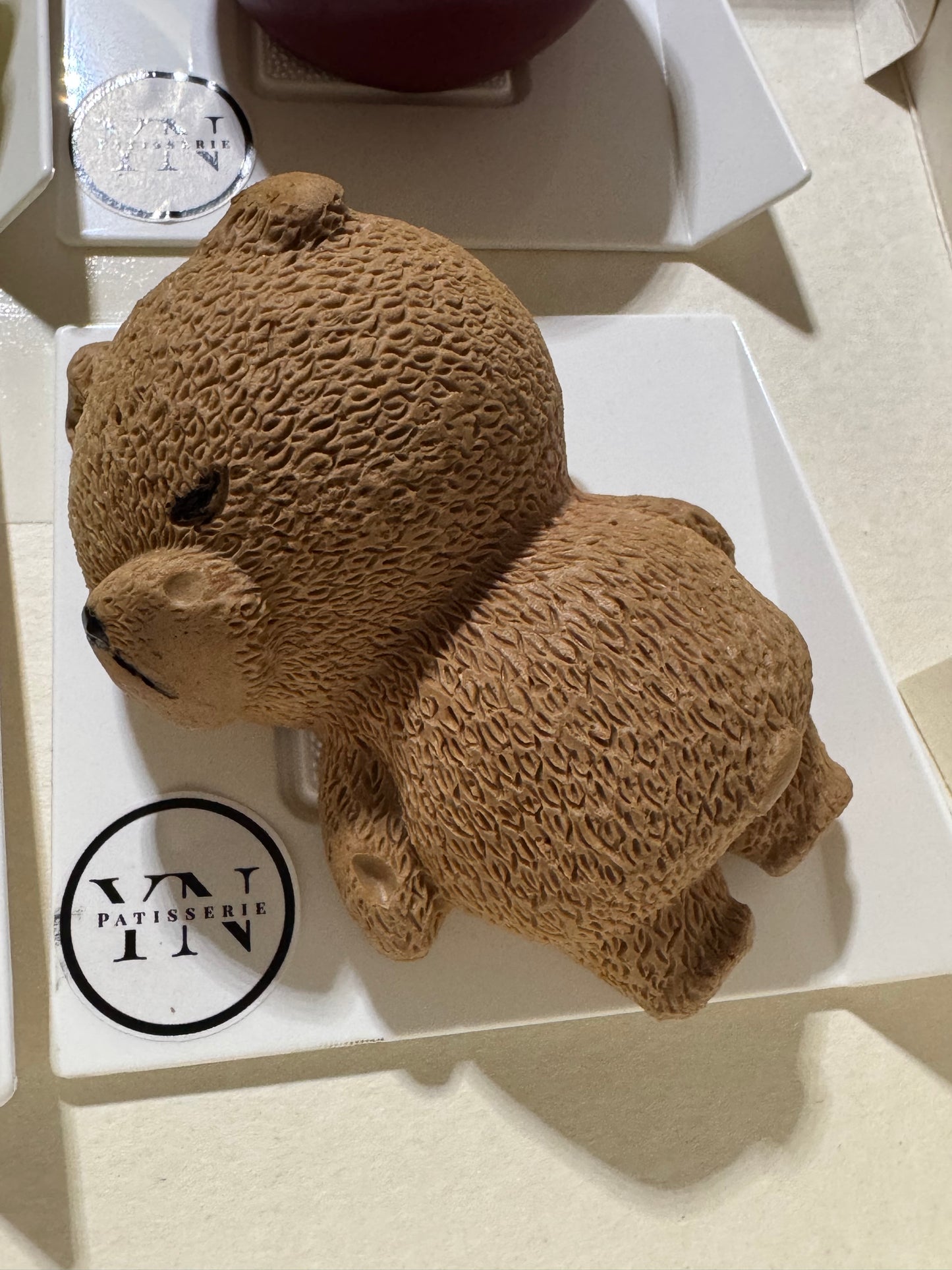 Teddy Bear Trompe L’oeil