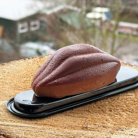 Cacao Pod Trompe L’oeil